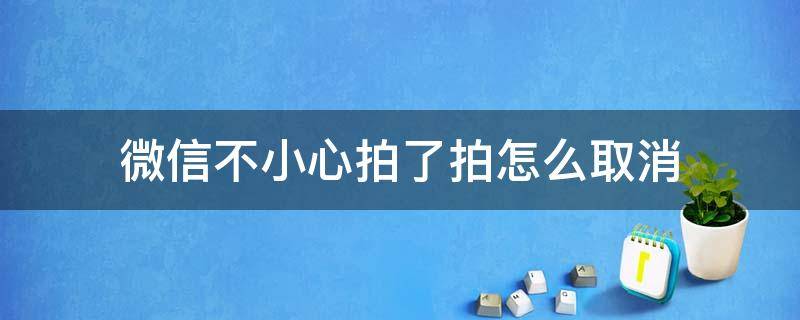 微信不小心拍了拍怎么取消 微信拍了拍怎么取消功能很经常不小心按到了