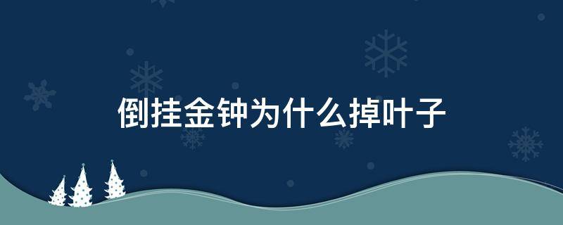 倒挂金钟为什么掉叶子（倒挂金钟为什么掉叶子和花蕾）