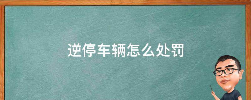 逆停车辆怎么处罚 逆停车辆怎么处罚需要带什么证件