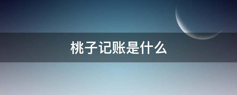 桃子记账是什么 桃子记账叨叨记账