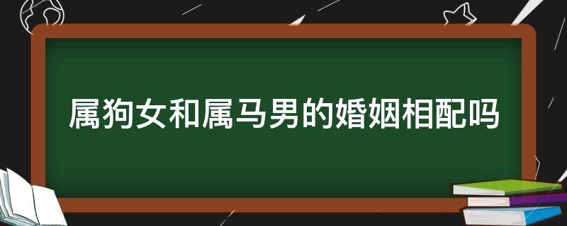 属狗女和属马男的婚姻相配吗 属马男跟属狗女的婚姻相配吗