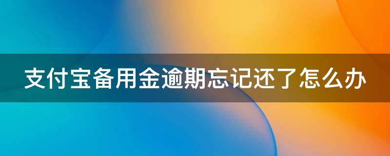 支付宝备用金逾期忘记还了怎么办（支付宝备用金逾期忘记还了怎么办呢）