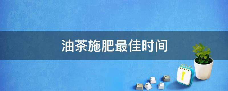 油茶施肥最佳时间（油茶一年施肥多少次）