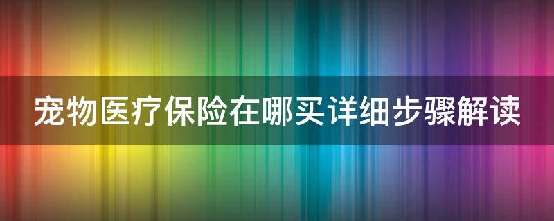 宠物医疗保险在哪买详细步骤解读（宠物医疗保险哪里买）