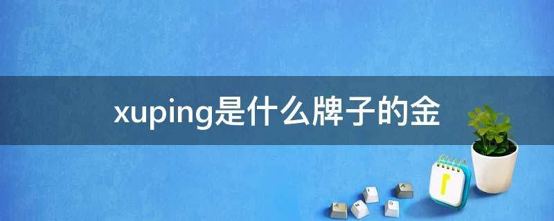 xuping是什么牌子的金 xuping是什么牌子的金80