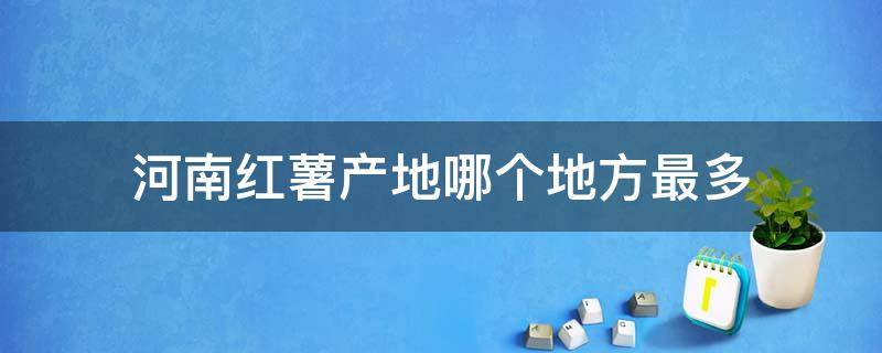 河南红薯产地哪个地方最多（河南哪里产红薯最多）