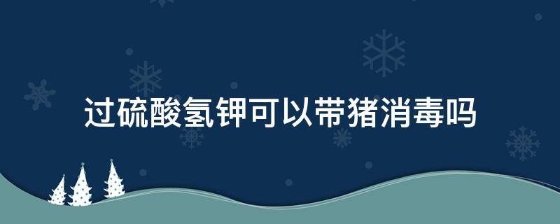 过硫酸氢钾可以带猪消毒吗 猪用过硫酸氢钾消毒液