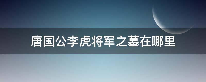 唐国公李虎将军之墓在哪里（唐李将军碑）