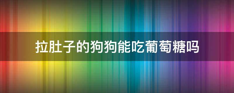 拉肚子的狗狗能吃葡萄糖吗 狗狗拉肚子可以喝葡萄糖水吗