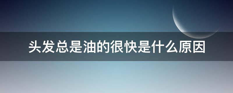 头发总是油的很快是什么原因 头发油得很快是什么原因