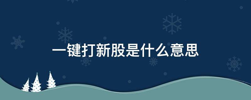 一键打新股是什么意思 新股一键打新