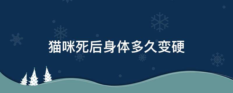 猫咪死后身体多久变硬（猫咪身体发硬是已经死了嘛）