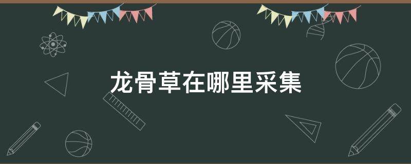 龙骨草在哪里采集 南山龙骨草在哪里采集