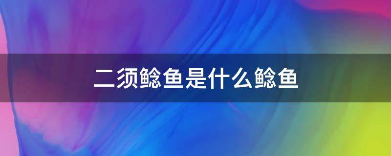 二须鲶鱼是什么鲶鱼 两须鲶鱼是什么品种