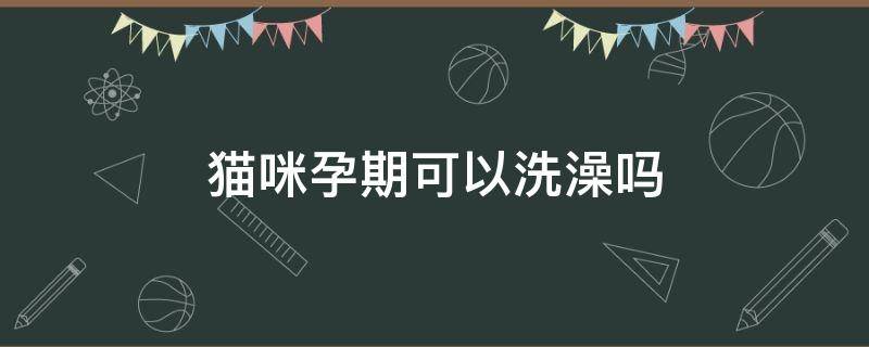 猫咪孕期可以洗澡吗（猫咪怀孕期可以洗澡吗）