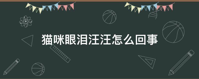 猫咪眼泪汪汪怎么回事 猫咪眼泪汪汪怎么办