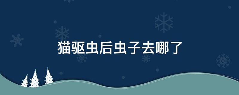 猫驱虫后虫子去哪了 给猫驱虫后多久能排出虫子