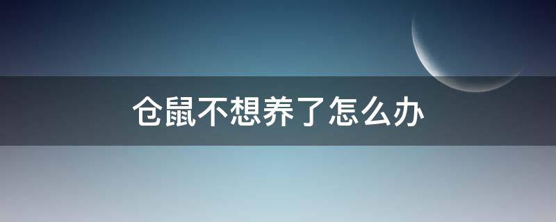 仓鼠不想养了怎么办 仓鼠不想养了怎么办可以送到哪