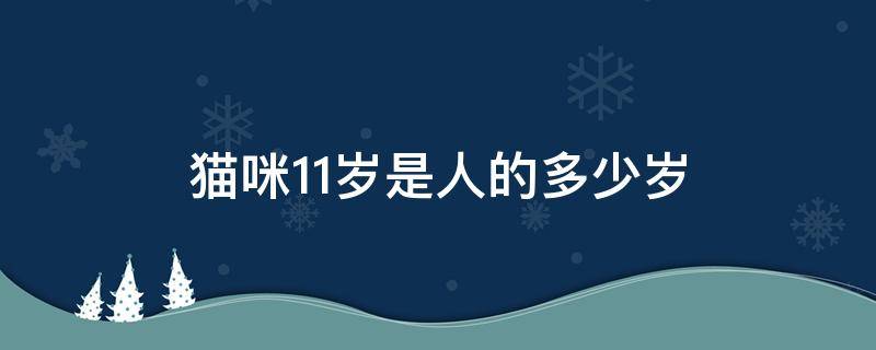 猫咪11岁是人的多少岁 猫 11岁