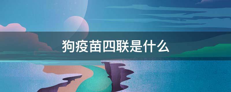 狗疫苗四联是什么 狗疫苗四联是什么意思