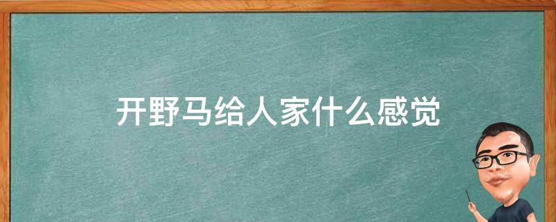 开野马给人家什么感觉（野马开起来舒服吗）