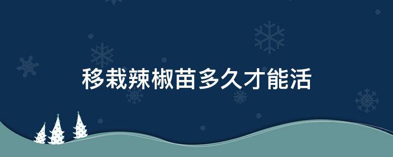 移栽辣椒苗多久才能活（辣椒移栽几天能活）