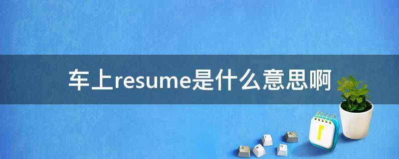 车上resume是什么意思啊（resume在车上是什么意思）