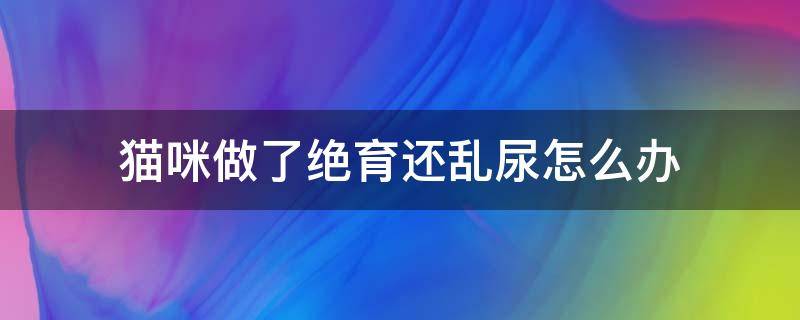 猫咪做了绝育还乱尿怎么办 猫咪绝育完还是乱尿怎么办