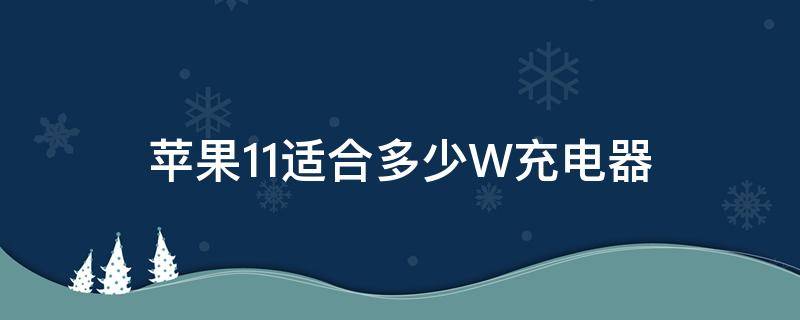 苹果11适合多少W充电器（苹果11适合用多少W的充电器）