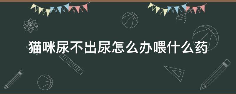 猫咪尿不出尿怎么办喂什么药 猫咪尿不出来尿吃什么药管用