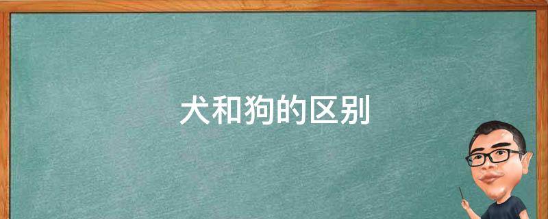 犬和狗的区别 犬和狗的区别在哪里