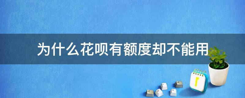 为什么花呗有额度却不能用（花呗不能用但是有额度）