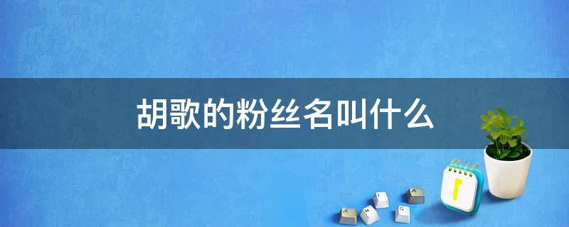 胡歌的粉丝名叫什么 胡歌的粉丝怎么称呼胡歌