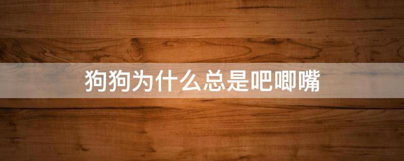 狗狗为什么总是吧唧嘴 狗狗嘴巴老是吧唧吧唧