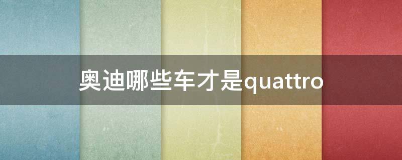 奥迪哪些车才是quattro 奥迪哪些车才是真夸戳