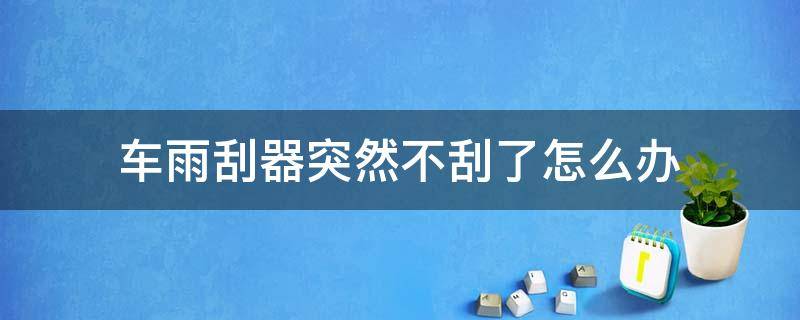 车雨刮器突然不刮了怎么办 车雨刮器突然不刮了怎么办不一回又好使了