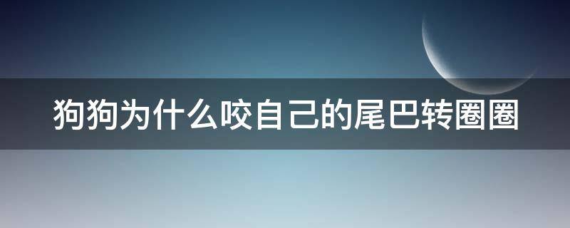 狗狗为什么咬自己的尾巴转圈圈 狗狗为什么咬自己的尾巴转圈圈