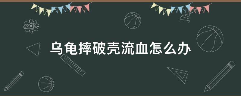 乌龟摔破壳流血怎么办 乌龟的壳破了又流血了要怎么治