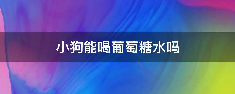 小狗能喝葡萄糖水吗 狗能不能喝葡萄糖水