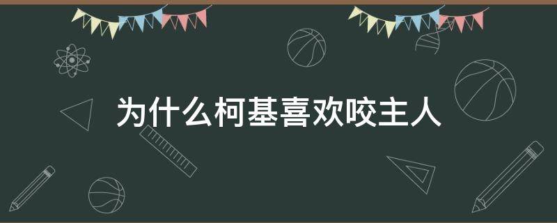 为什么柯基喜欢咬主人 为什么柯基喜欢咬主人手