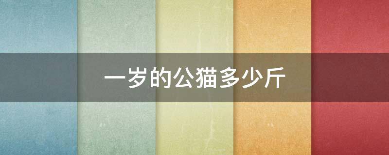 一岁的公猫多少斤 一岁的公猫大概多重