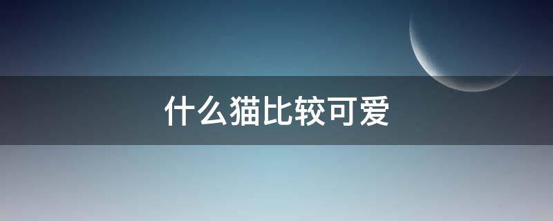 什么猫比较可爱 什么猫比较可爱有灵性