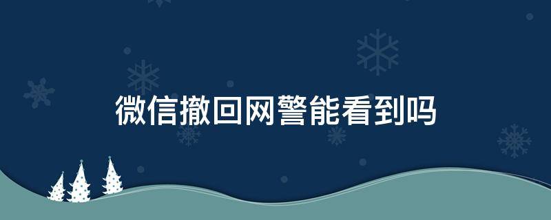 微信撤回网警能看到吗（微信撤回消息网警能看到吗）