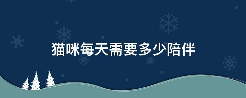 猫咪每天需要多少陪伴 猫咪需要每天陪伴吗