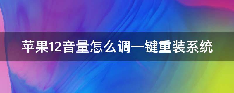 苹果12音量怎么调一键重装系统（iphone12怎么调系统音量）