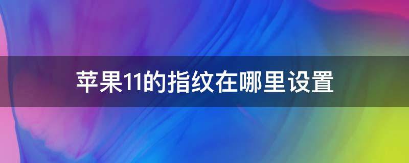 苹果11的指纹在哪里设置（苹果11在哪儿设置指纹）