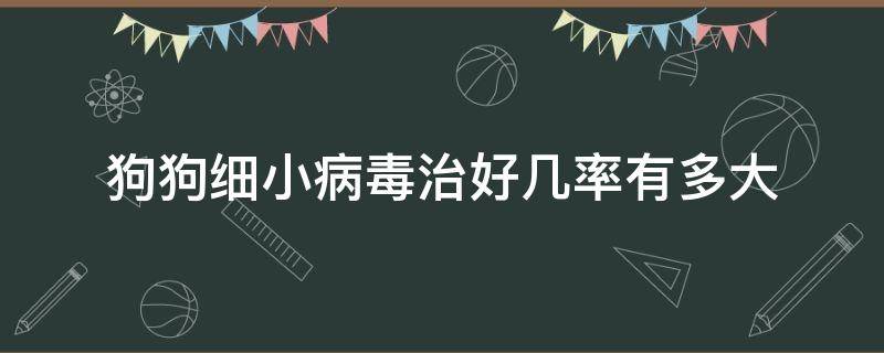 狗狗细小病毒治好几率有多大 狗感染了细小病毒治愈几率