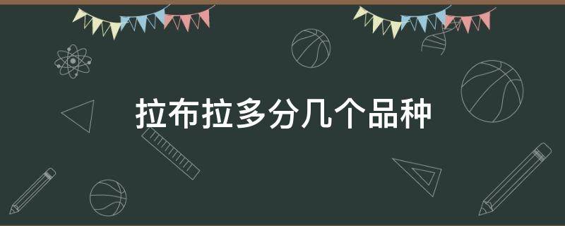 拉布拉多分几个品种（拉布拉多犬品种有几种）