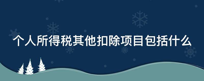 个人所得税其他扣除项目包括什么 个人所得税其他扣除是什么