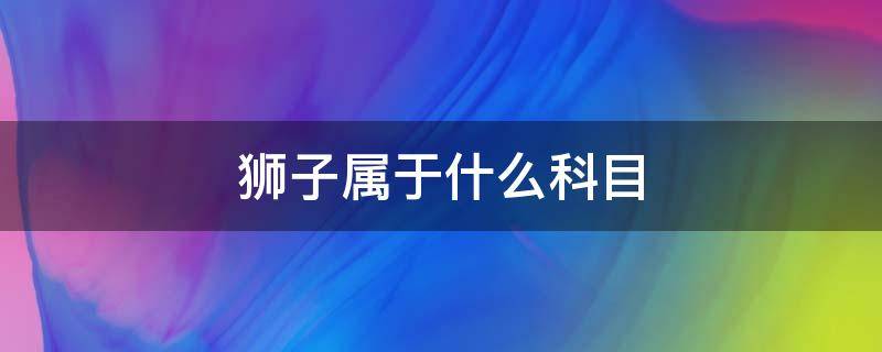 狮子属于什么科目 狮子属于什么科目动物